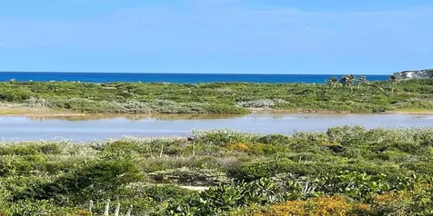 Ocean View Lot 1 Millers Long Island BS