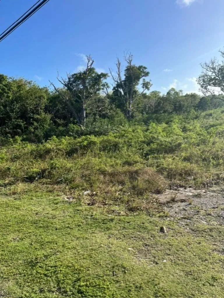 Deadman's Cay Road Front Long Island BS