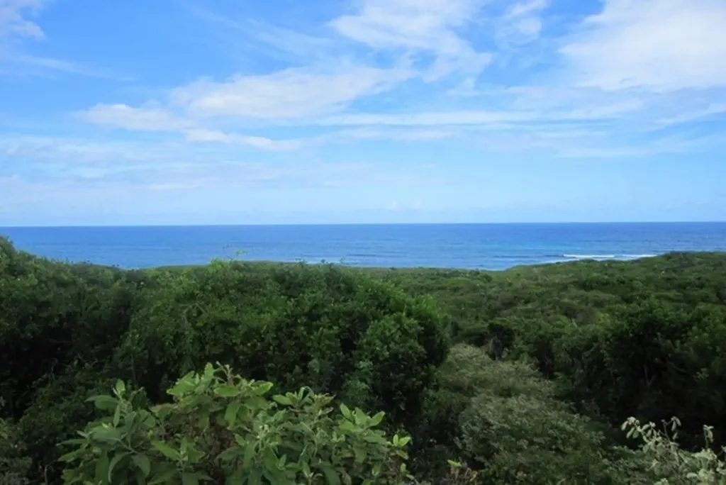 Scrub Hill Lot 2 Long Island BS