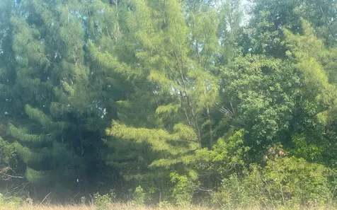 Leicester County Grand Bahama Freeport BS