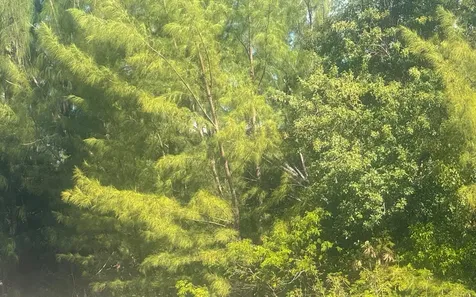 Leicester County Grand Bahama Freeport BS