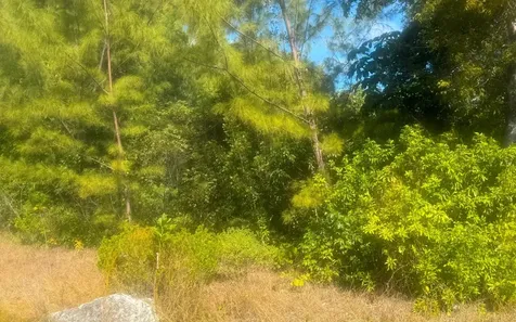 Leicester County Grand Bahama Freeport BS