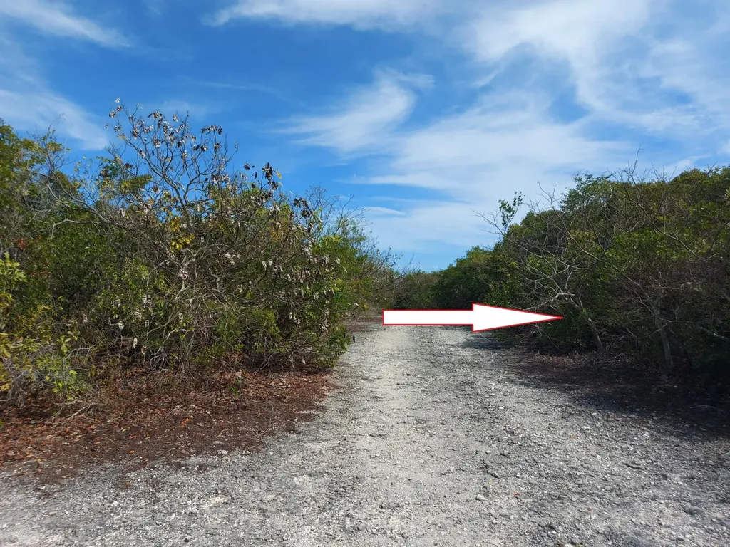 Bahama Drive 756 Exuma BS