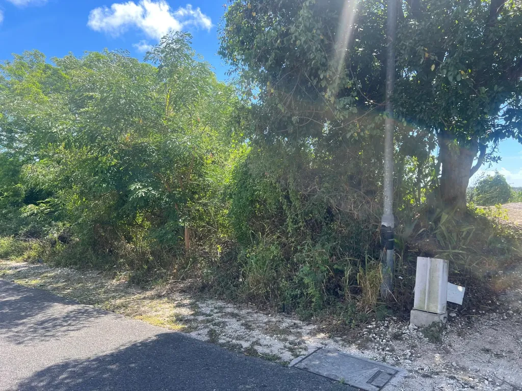 Garden Hills New Providence Paradise Island BS