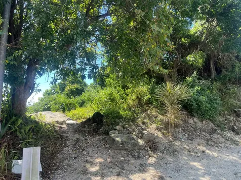 Garden Hills New Providence Paradise Island BS