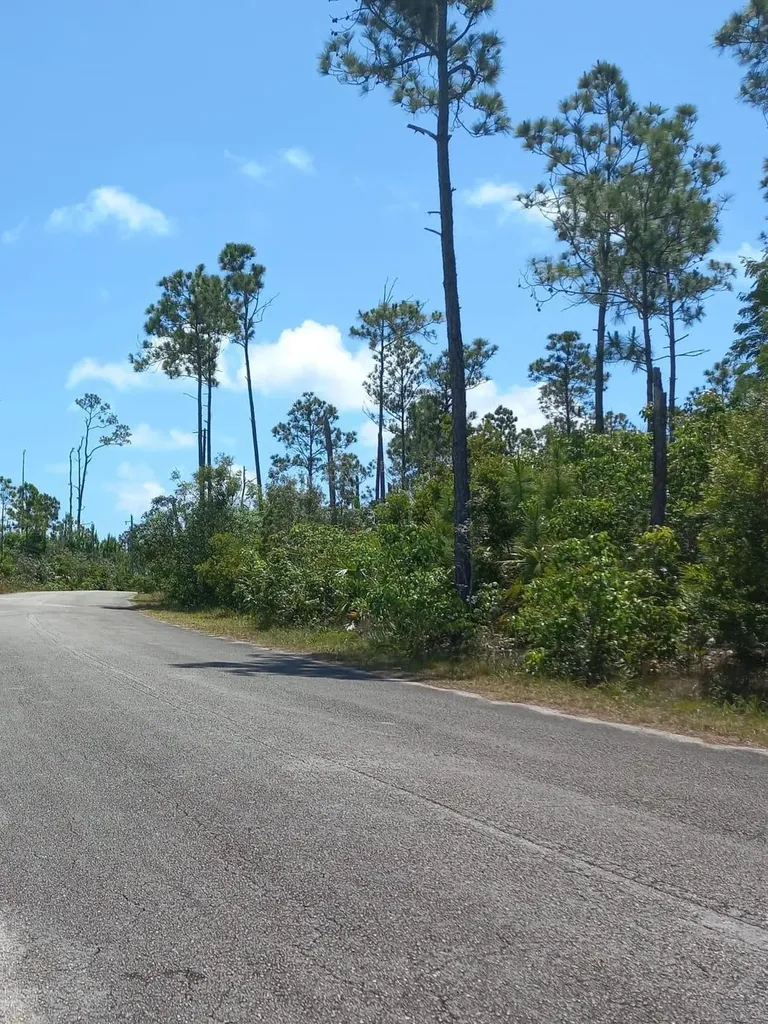 Block 53 18 Grand Bahama Freeport BS