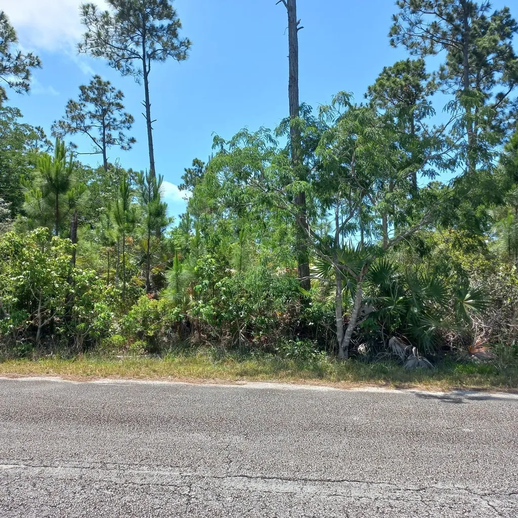 Block 53 18 Grand Bahama Freeport BS