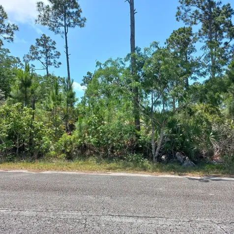 Block 53 18 Grand Bahama Freeport BS