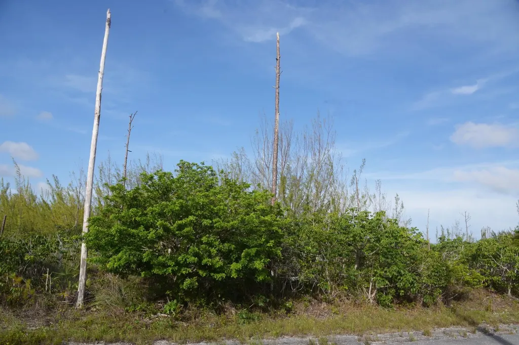 Block 53 Lot 18 Grand Bahama Freeport BS