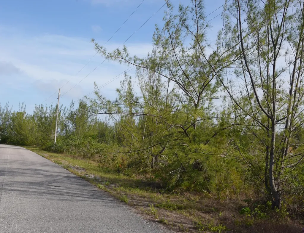 Block 53 Lot 18 Grand Bahama Freeport BS