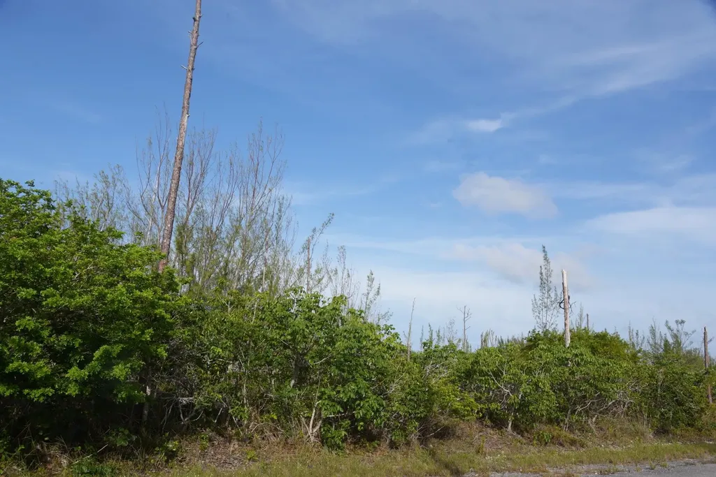 Block 53 Lot 18 Grand Bahama Freeport BS