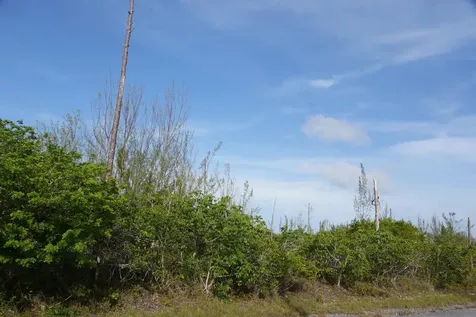 Block 53 Lot 18 Grand Bahama Freeport BS