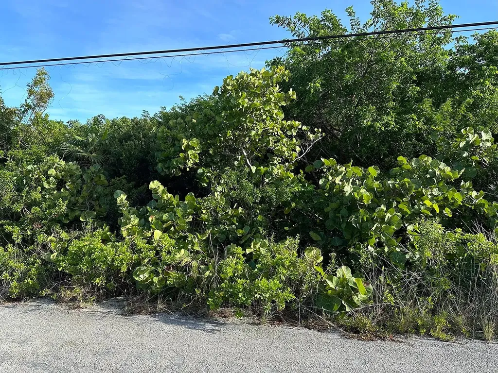 Port Howe Beachfront Lot Cat Island BS