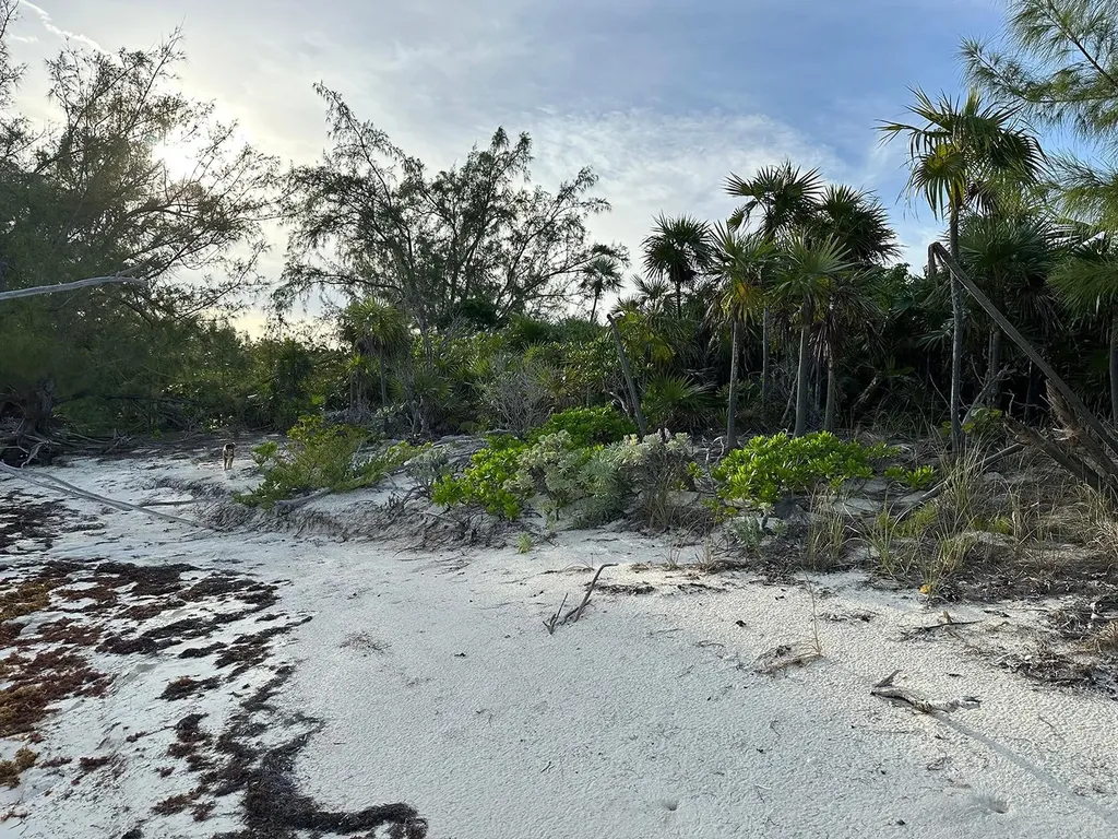 Port Howe Beachfront Lot Cat Island BS