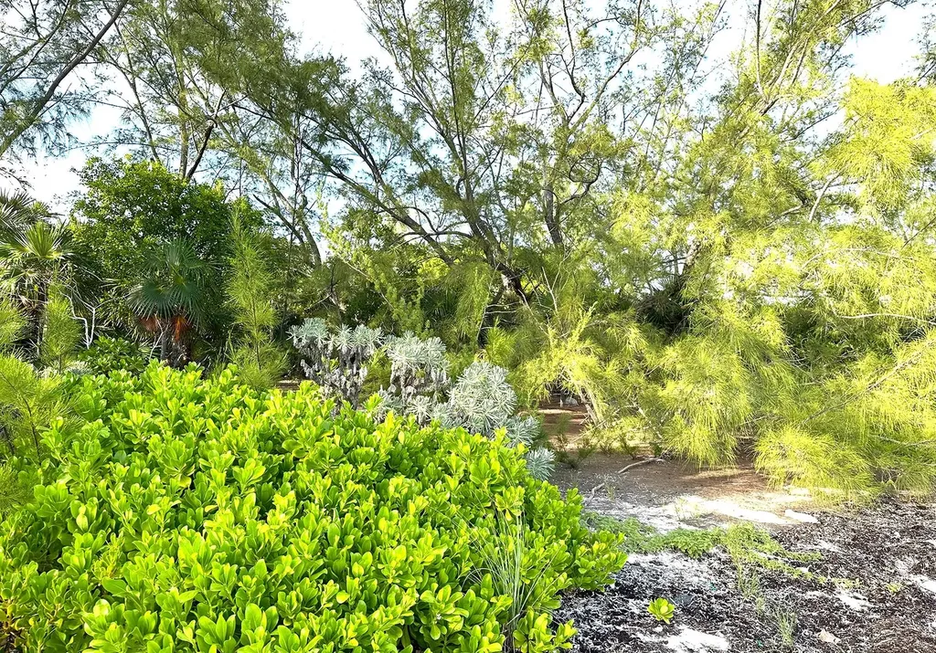 Port Howe Beachfront Lot Cat Island BS