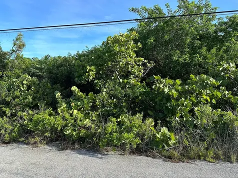 Port Howe Beachfront Lot Cat Island BS