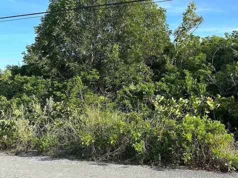 Port Howe Beachfront Lot Cat Island BS