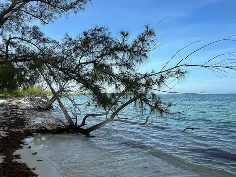 Port Howe Beachfront Lot Cat Island BS