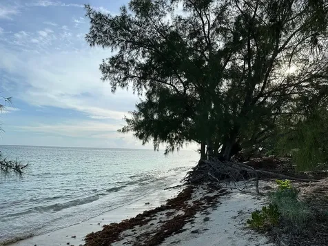 Port Howe Beachfront Lot Cat Island BS