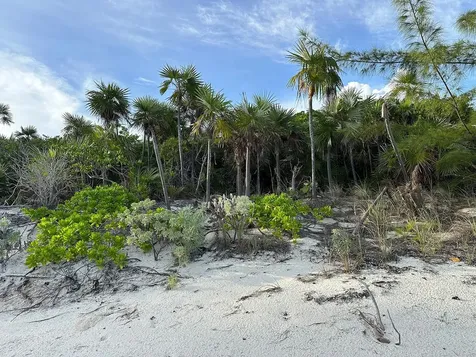 Port Howe Beachfront Lot Cat Island BS