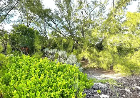 Port Howe Beachfront Lot Cat Island BS