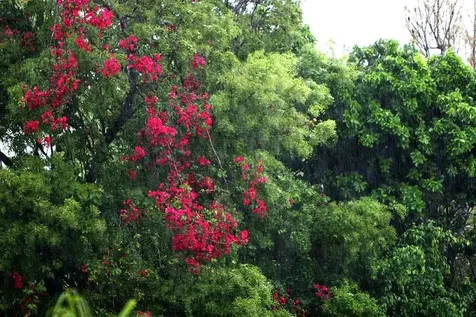 Shoreline Development Grand Bahama Freeport BS