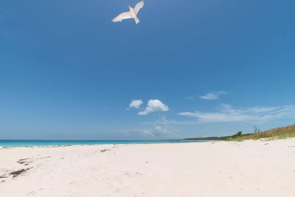 Lot C Airport Beach Eleuthera BS