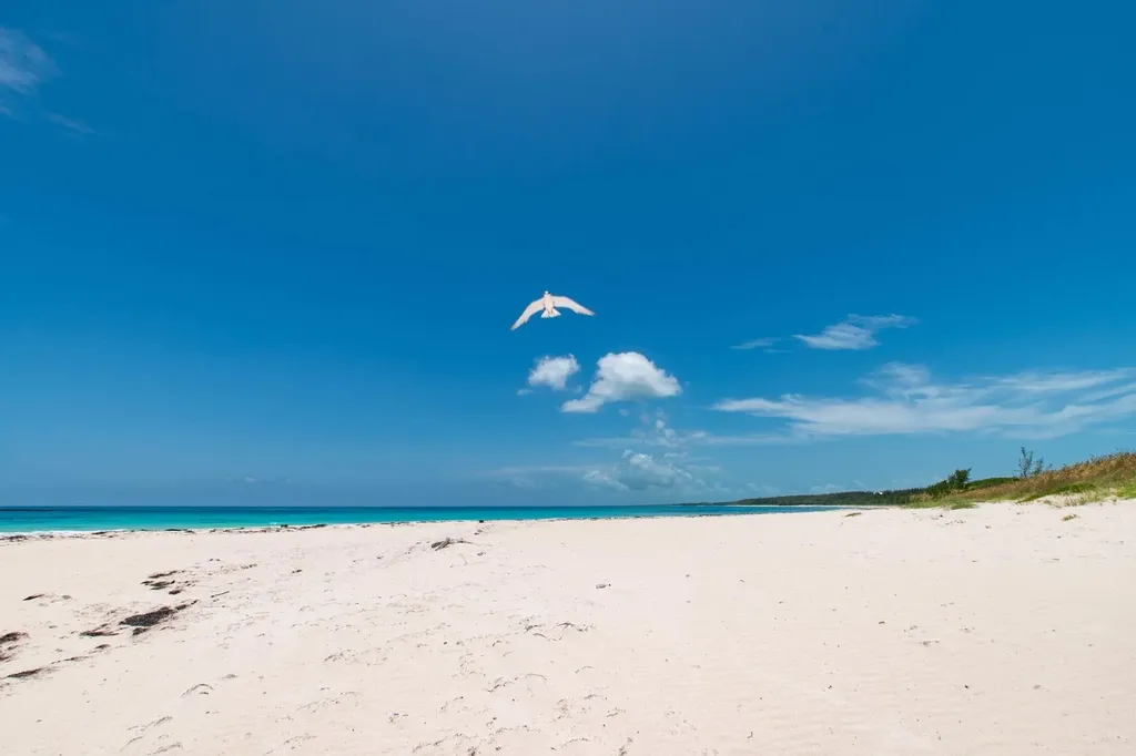 Lot C Airport Beach Eleuthera BS