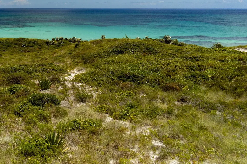 Lot C Airport Beach Eleuthera BS