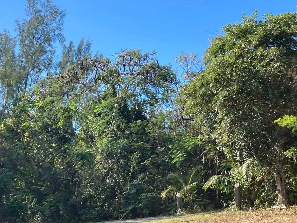 Coconut Road Flamingo Bay 37 Exuma BS