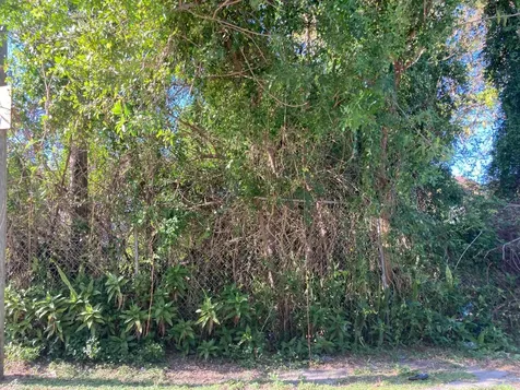 Coconut Road Flamingo Bay 37 Exuma BS