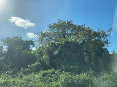 Coconut Road Flamingo Bay 37 Exuma BS