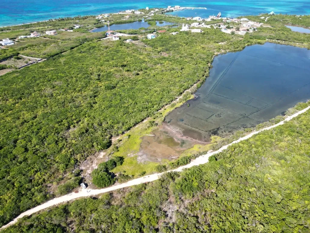 Vicinity Of Clarence Town Long Island BS