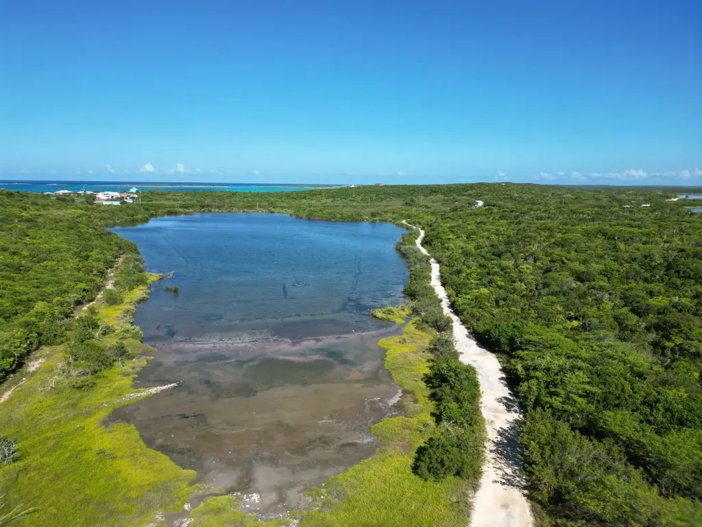 Vicinity Of Clarence Town Long Island BS