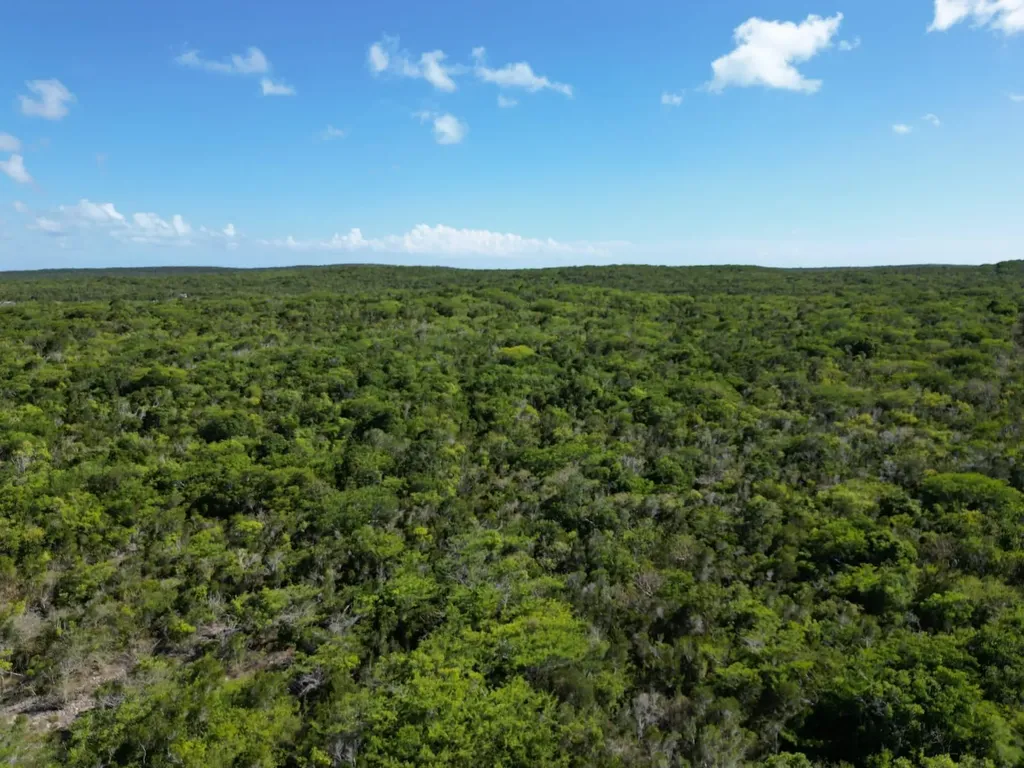 Vicinity Of Clarence Town Long Island BS