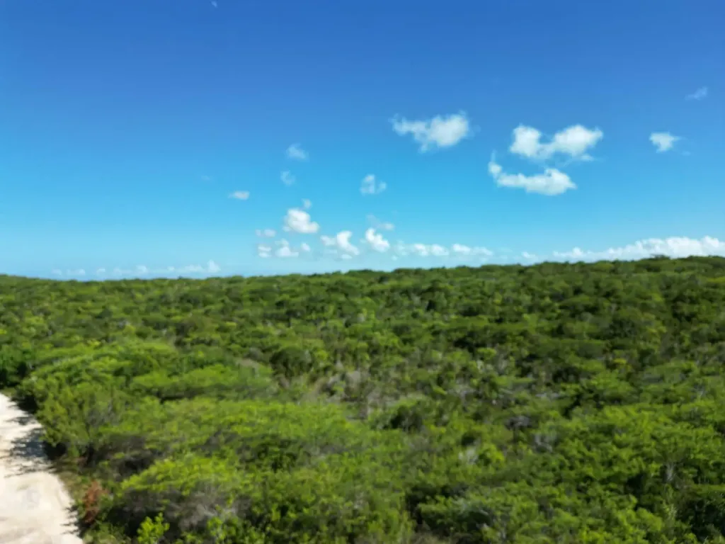 Vicinity Of Clarence Town Long Island BS