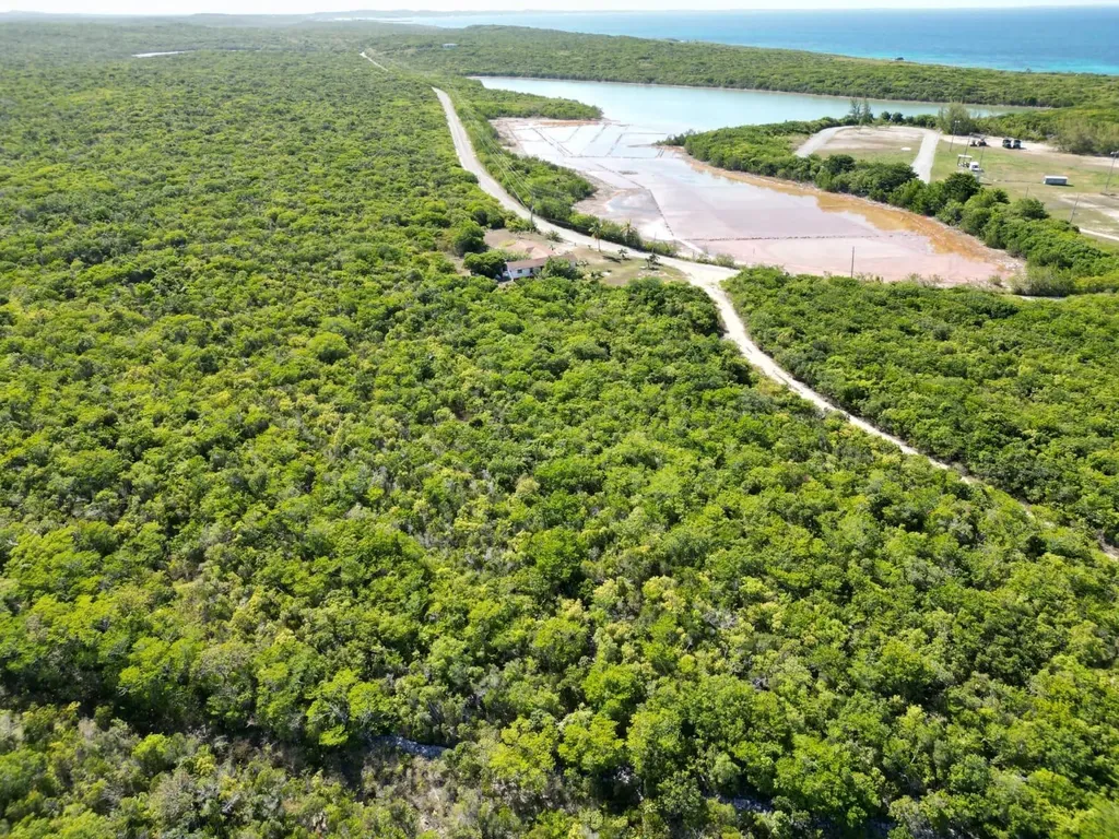 Vicinity Of Clarence Town Long Island BS