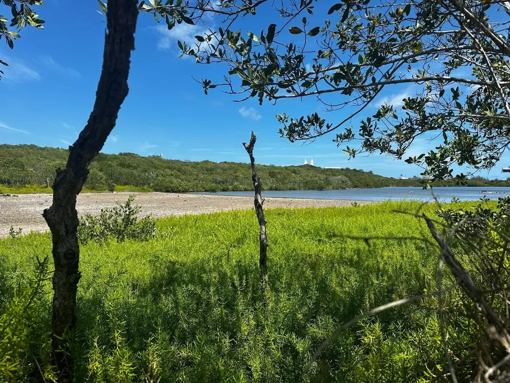 Vicinity Of Clarence Town Long Island BS