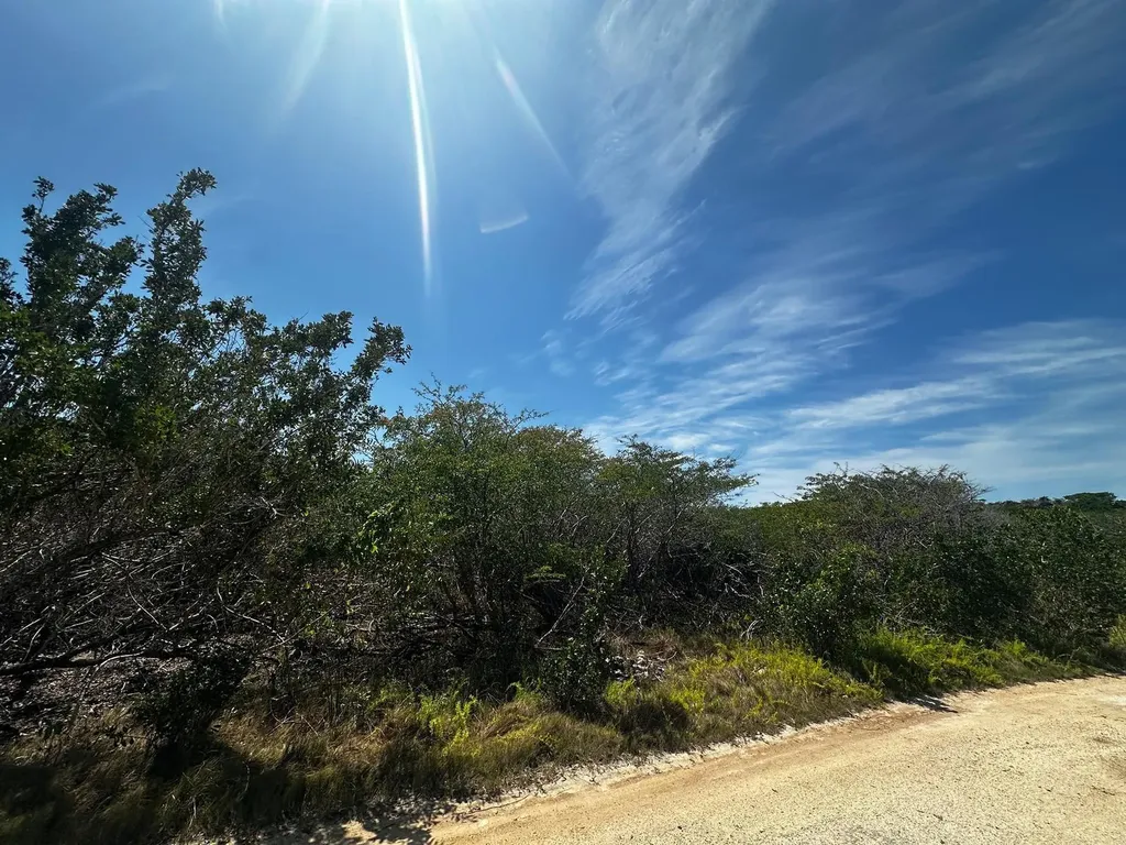 Vicinity Of Clarence Town Long Island BS