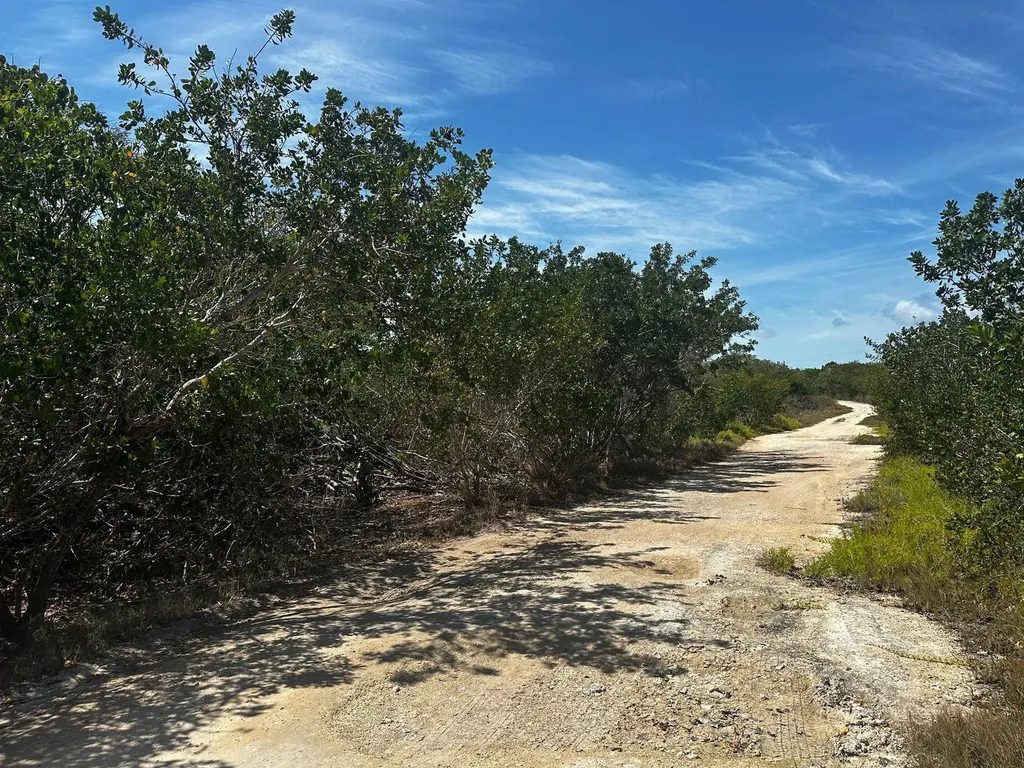 Vicinity Of Clarence Town Long Island BS