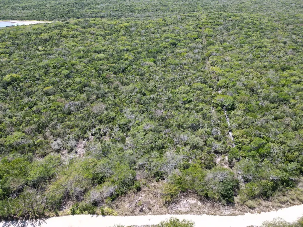 Vicinity Of Clarence Town Long Island BS