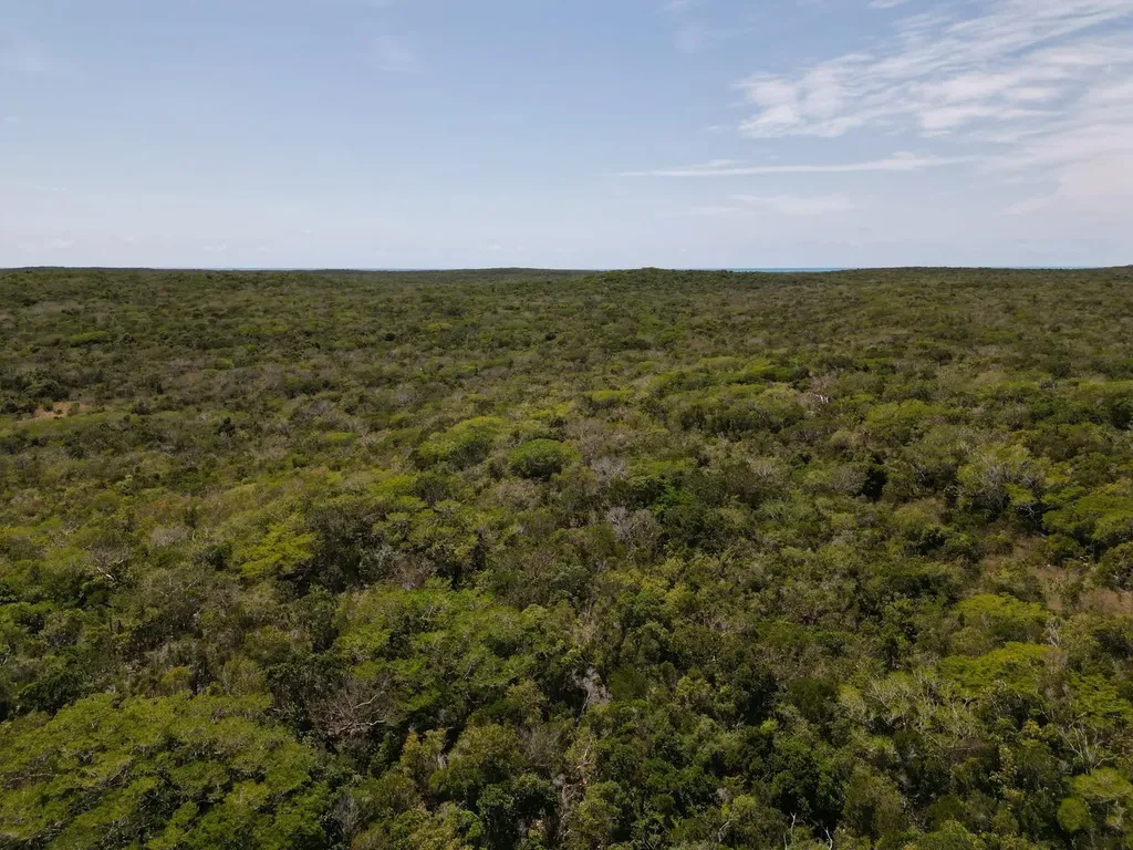 Vicinity Of Clarence Town Long Island BS