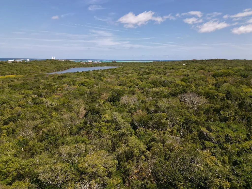 Vicinity Of Clarence Town Long Island BS