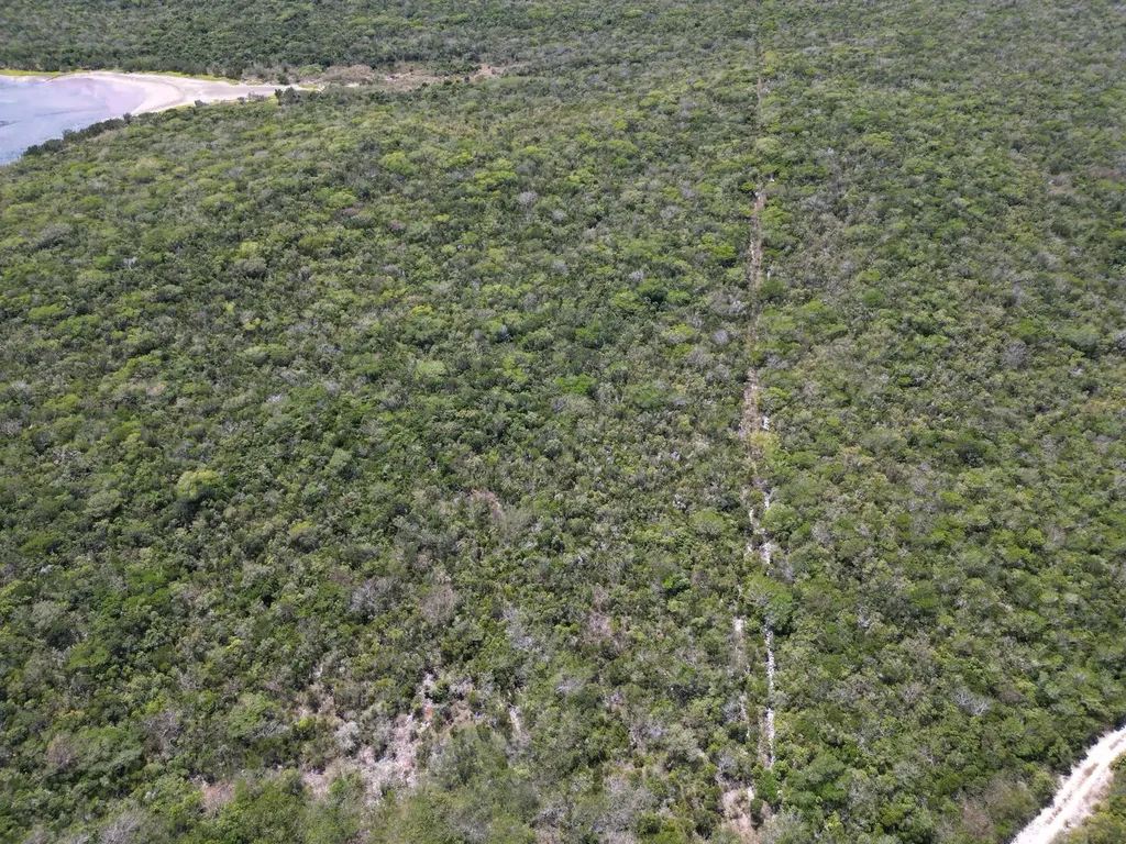 Vicinity Of Clarence Town Long Island BS