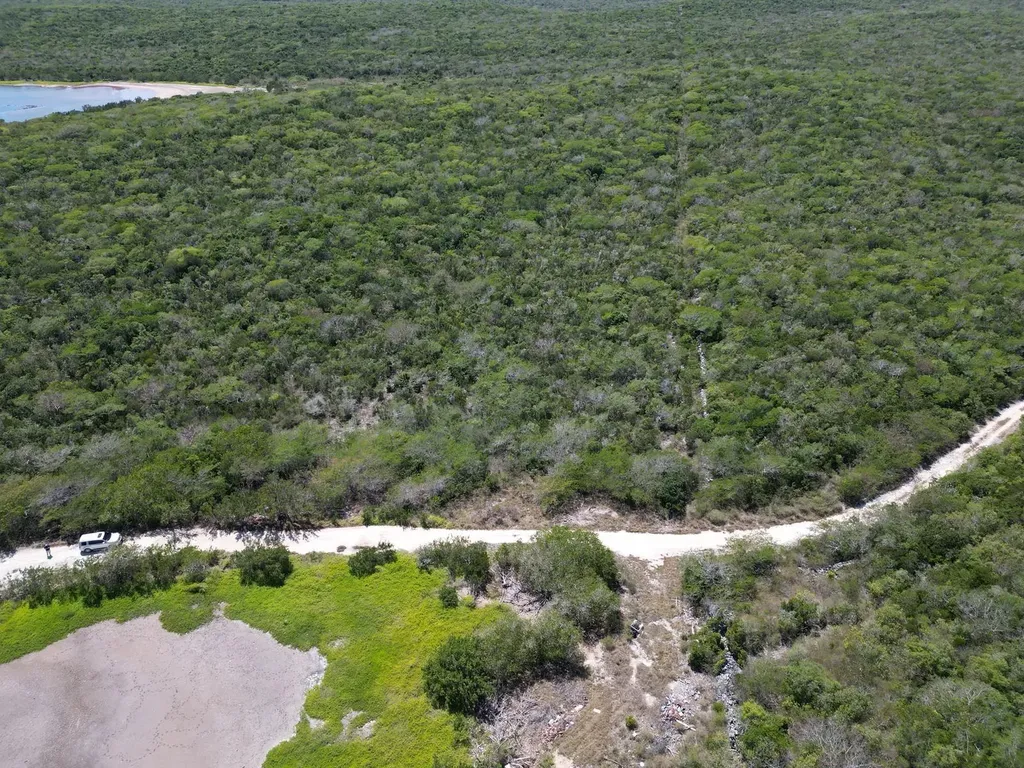 Vicinity Of Clarence Town Long Island BS