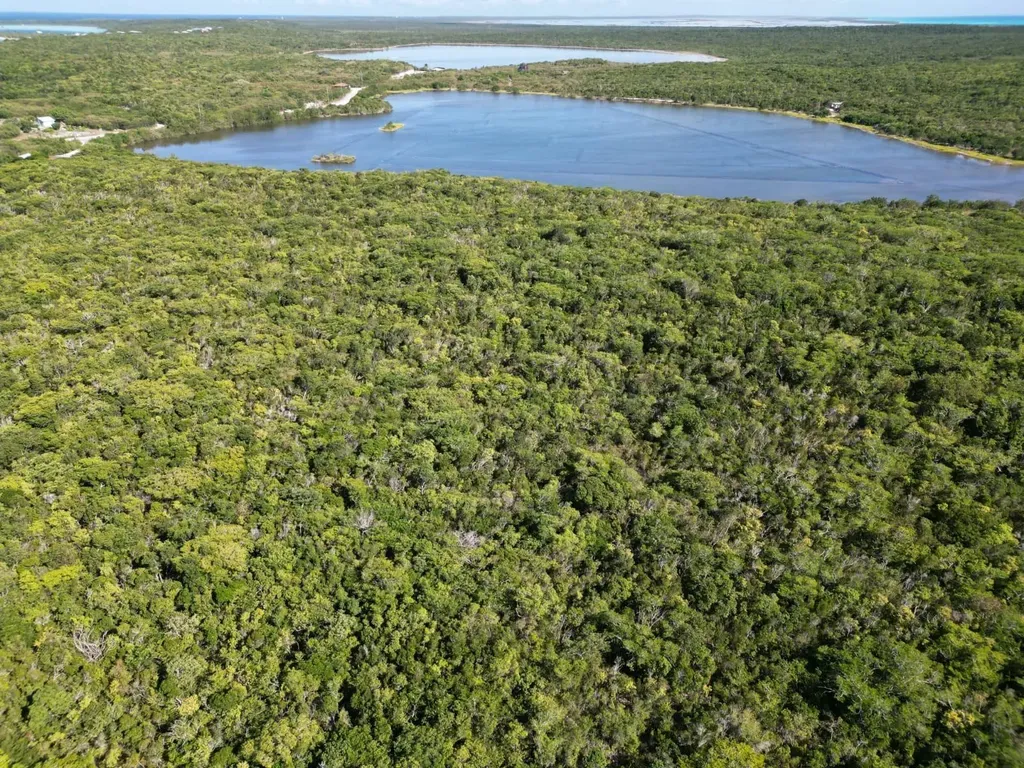 Vicinity Of Clarence Town Long Island BS