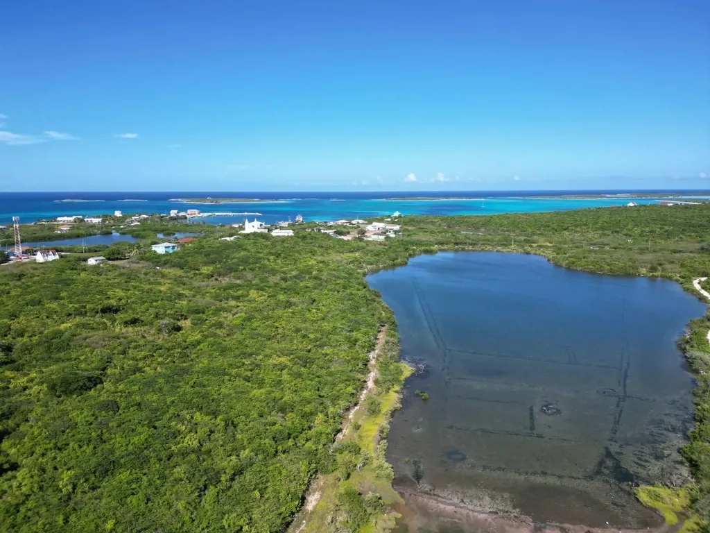 Vicinity Of Clarence Town Long Island BS
