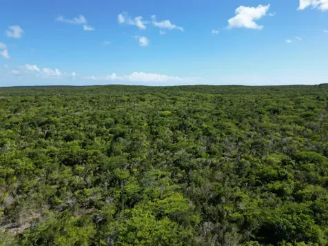 Vicinity Of Clarence Town Long Island BS