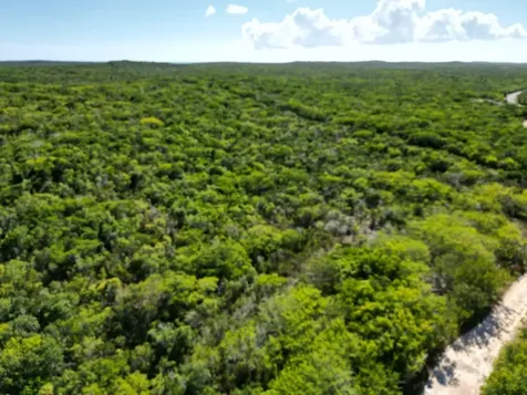 Vicinity Of Clarence Town Long Island BS