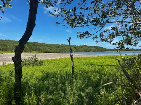 Vicinity Of Clarence Town Long Island BS
